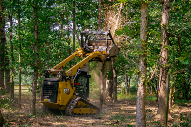 Ground shot taken during a commercial shoot for a land clearing customer